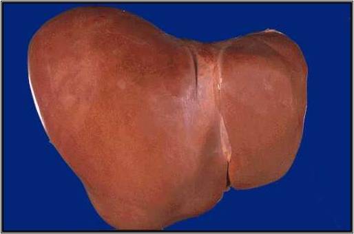 صورة لـ أربعة أشياء صادمة عرضت للبيع على الانترنت لن تصدق ذلك! | 10-DzTechs