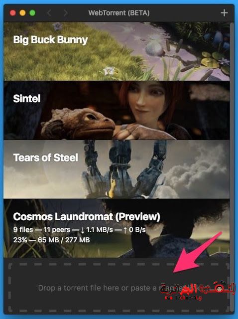 صورة لـ هذا البرنامج سيوفر لك بان تشغل أفلام التورنت الموجودة على أي موقع بدون الحاجة تحميلها | image2-DzTechs