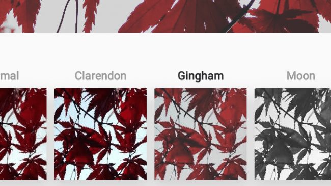 صورة لـ شرح كيفية رفع الصور الى إنستقرام من حاسوبك الويندوز أو الماك بطريقتين | KWoJuvMsvEUgV3faGFivs5-650-80-min