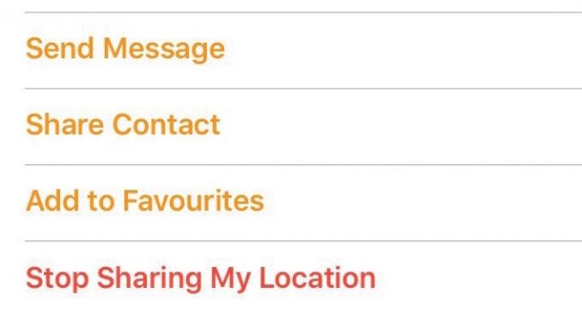 صورة لـ شرح استخدام تطبيق Find My Friends لنظام IOS | jscWDnB6r3yBb5hGGpeNxB-650-80-min-DzTechs