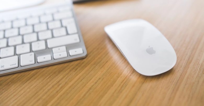 صورة لـ Unattached Image | qtq80-sontQF