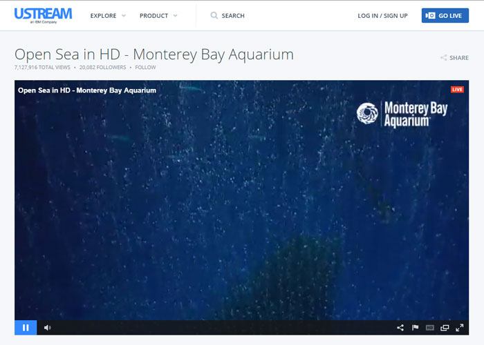 صورة لـ هل تقوم باستخدام YouTube وأتعبك كثرة الفيديوهات؟ إليك أفضل البدائل لـ YouTube | youtube-alternatives-ustream-DzTechs