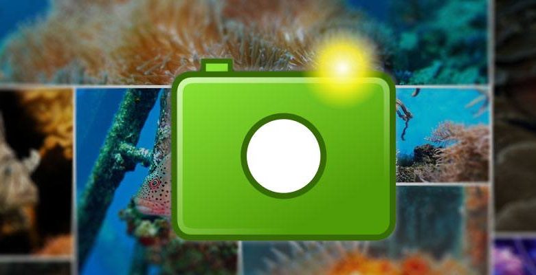 صورة لـ ما هو تنسيق الصور WebP وكيف يمكنك حفظ صورك بهذا التنسيق؟ | webp