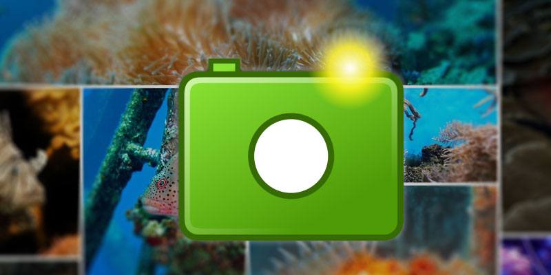 صورة لـ ما هو تنسيق الصور WebP وكيف يمكنك حفظ صورك بهذا التنسيق؟ | webp-DzTechs