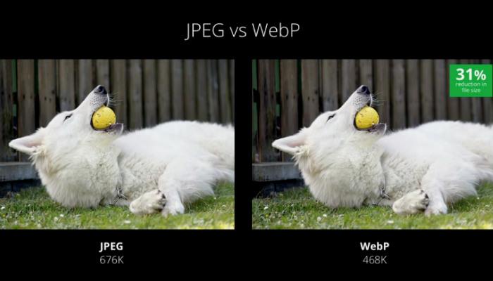 صورة لـ ما هو تنسيق الصور WebP وكيف يمكنك حفظ صورك بهذا التنسيق؟ | webp-vs-jpeg-DzTechs