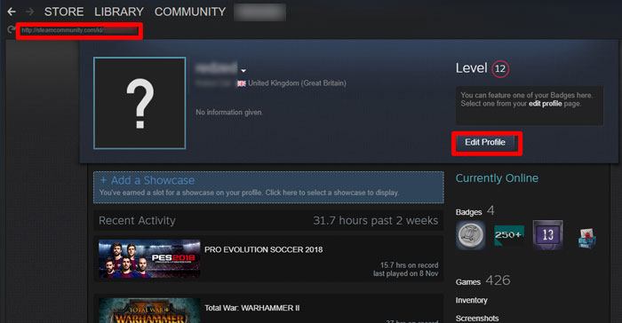 صورة لـ كيفية العثور على معرف Steam الخاص بك وتغييره بسهولة | how-to-find-steam-id-display-url-x-DzTechs
