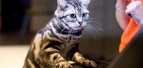 صورة لـ 10 نصائح حيوية ومهمة للبيع بنجاح على موقع eBay | Getting-Online-DzTechs