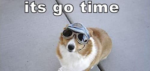 صورة لـ 10 نصائح حيوية ومهمة للبيع بنجاح على موقع eBay | itsgotimedog-DzTechs