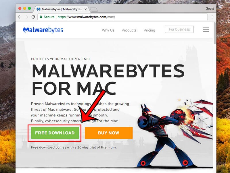 صورة لـ كيفية اكتشاف و إزالة البرامج الضارة من حاسوب الماك الخاص بك | remove-malware-from-mac-download-malwarebytes-0-DzTechs