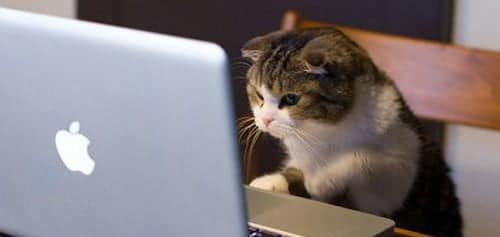 صورة لـ 10 نصائح حيوية ومهمة للبيع بنجاح على موقع eBay | watchingvides-DzTechs