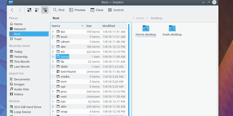 صورة لـ 8 نصائح وخدع على KDE Plasma لتحسين الإنتاجية الخاصة بك | pe-dolphin-DzTechs