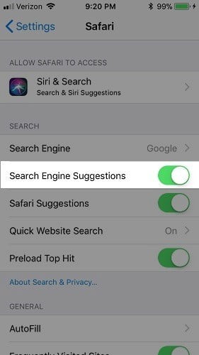 صورة لـ مُتصفح Safari لا يعمل على الـ iPhone الخاص بك؟ إليك كيفية إصلاحه | iphone-search-engine-suggestions-DzTechs