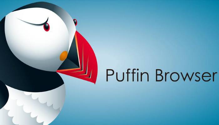 صورة لـ 5 متصفحات Android خفيفة وسريعة لتسريع تجربة التصفح الخاصة بك | fast-browser-puffin-DzTechs