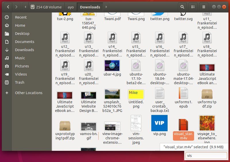 صورة لـ كيفة إرجاع ميزة بحث Type-ahead من Nautilus في أوبونتو 18.04 | ubuntu-type-ahead-enabled-DzTechs