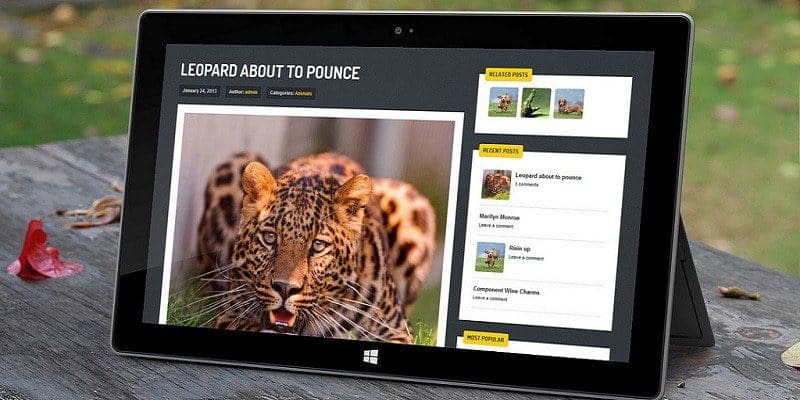 صورة لـ كيفية نقل موقع WordPress من المضيف المحلي إلى خادم مباشر | 8430388135-08410dcd6d-b-1-DzTechs