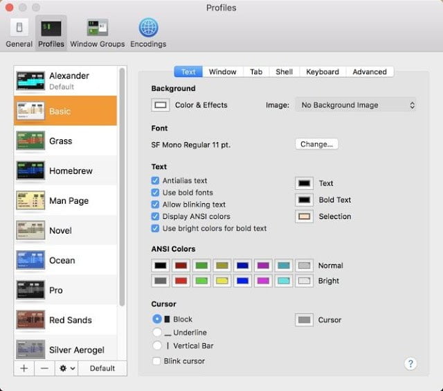 صورة لـ كيفية تخصيص Terminal في جهاز Mac الخاص بك للحصول على إنتاجية أفضل | customize-terminal-macos-terminal-preferences-window-DzTechs