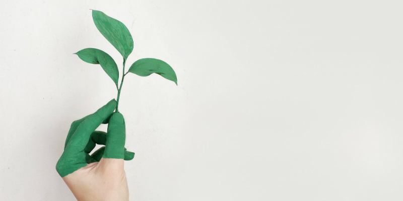 صورة لـ 5 تطبيقات بسيطة لمساعدتك على أن تصبح أكثر صداقة للبيئة | environment-apps-feature-DzTechs