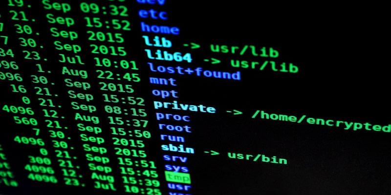 صورة لـ كيفية إدارة المستخدمين من سطر الأوامر في نظام Linux | linux-user-feature-DzTechs