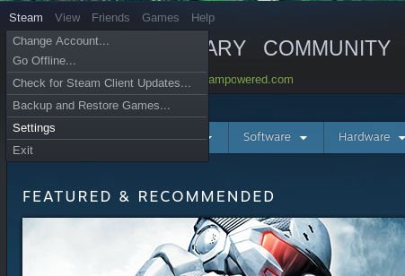 صورة لـ كيفية استخدام Steam Play لتشغيل العديد من ألعاب Windows على نظام Linux | steam-play-settings-dropdown-DzTechs