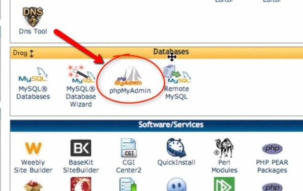 صورة لـ كيفية نقل موقع WordPress من المضيف المحلي إلى خادم مباشر | wordpress-hosting20-DzTechs