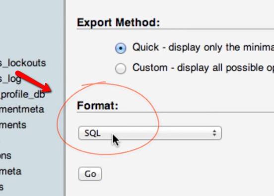 صورة لـ كيفية نقل موقع WordPress من المضيف المحلي إلى خادم مباشر | wordpress-hosting9-DzTechs