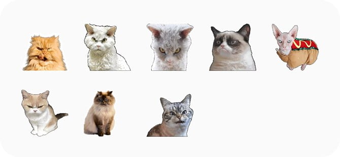 صورة لـ أفضل تطبيقات الملصقات للـ WhatsApp (2023) | cats-DzTechs