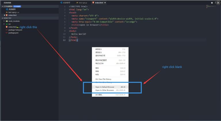 صورة لـ 13 من أفضل إضافات Visual Studio Code يجب أن تجربها | vs-code-extension-open-in-browser-DzTechs