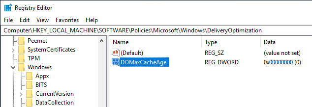 صورة لـ كيفية تحسين ذاكرة التخزين المؤقت لـ Delivery Optimization في نظام التشغيل Windows 10 | win10-delivery-optimization-create-max-age-value-DzTechs