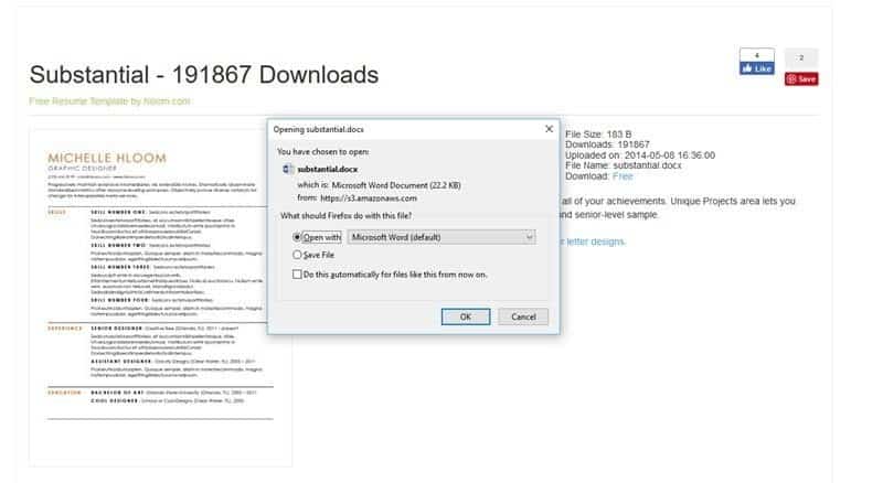 صورة لـ دليلنا حول إنشاء السيرة الذاتية المثالية باستخدام Microsoft Word | word-resume-template-download-DzTechs