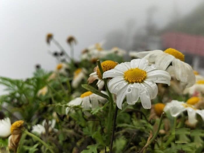 صورة لـ 7 حيل لا تصدق لتعديل الصور على Android والتي يجب أن تعرفها | IMG_20170806_082733_935adec67b324b146ff212ec4c69054f-DzTechs
