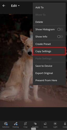 صورة لـ نصائح وحيل لاستخدام تطبيق Lightroom على الهاتف كالمُحترفين | LR_CopySettings-1-DzTechs