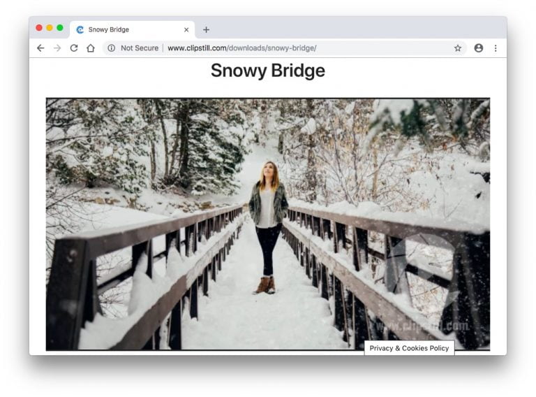 صورة لـ أفضل مواقع الويب لتنزيل الفيديوهات المجانية للاستخدام الشخصي والتجاري | Screen-Shot-2018-09-26-at-4.46.03-PM-768x568-DzTechs