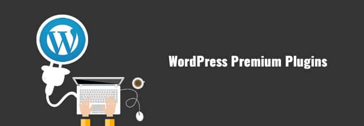 صورة لـ كم سيُكلف إنشاء مدونة WordPress ذاتية الاستضافة؟ | WordPress-Premium-Plugins-DzTechs