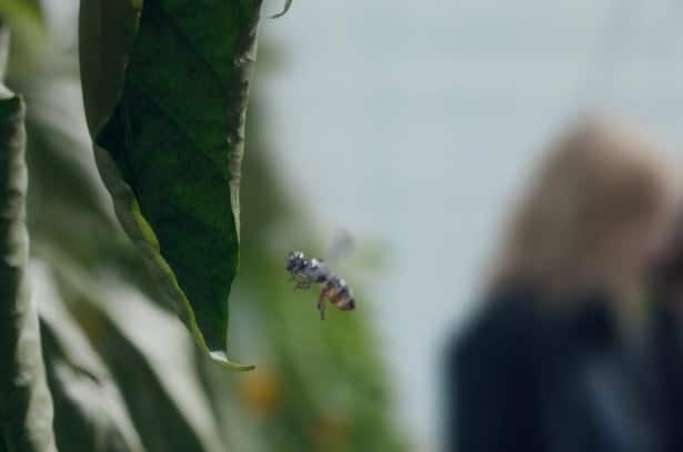 صورة لـ تقنيات البرنامج التلفزيوني Black Mirror موجودة بالفعل في واقعنا | black-mirror-hated-in-the-nation-bees1-DzTechs