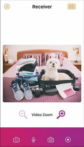 صورة لـ أفضل تطبيقات مُراقبة الحيوانات الأليفة لنظامي Android و iOS | pet-monitor-04-PetCam-DzTechs