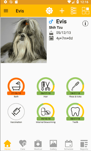 صورة لـ أفضل تطبيقات مُراقبة الحيوانات الأليفة لنظامي Android و iOS | pet-monitor-05-11pets-DzTechs