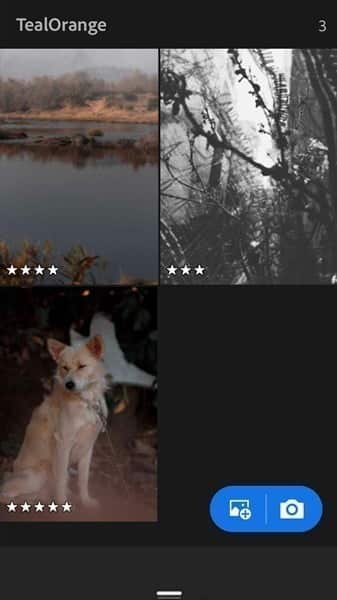 صورة لـ نصائح وحيل لاستخدام تطبيق Lightroom على الهاتف كالمُحترفين | ratings_for_Lightroom-DzTechs