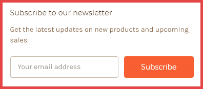 صورة لـ 4 إستراتيجيات لتسويق محتوى التجارة الإلكترونية يجب عليك استخدامها | subscribe-to-newsletter-option-DzTechs