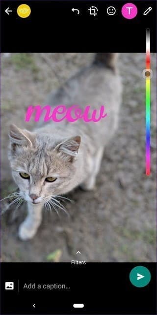 صورة لـ أفضل 17 من النصائح والحيل لـ حالة WhatsApp يجب أن تعرفها | whatsapp-status-tips-18_935adec67b324b146ff212ec4c69054f-DzTechs