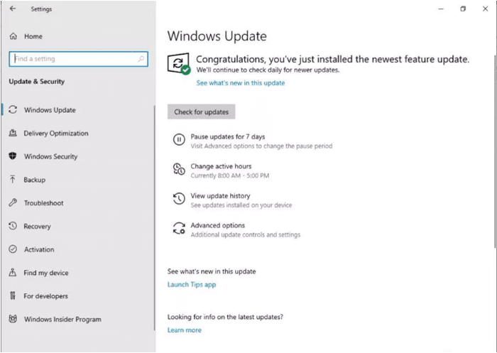 صورة لـ 5 من أكبر الأشياء التي يُمكن أن نراها على نظام Windows 10 | windows-10-new-features-updates-2019-pause-update-DzTechs