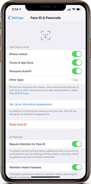 صورة لـ نصائح وحيل مميزة لهاتف iPhone Xs Max على الأرجح أنك لا تستخدمها | set-up-alternative-face-ID-DzTechs