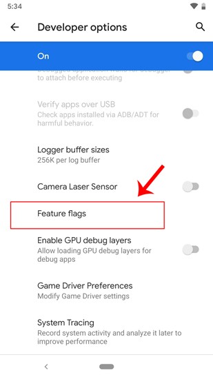 صورة لـ كيفية تسجيل الشاشة بميزة مدمجة في Android 10 | feature_flags_options-DzTechs