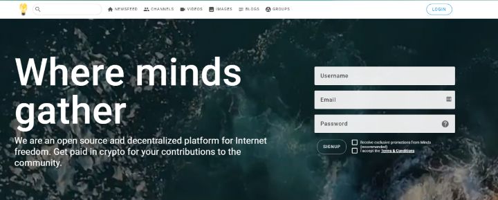 صورة لـ أفضل المنصات البديلة لمُستخدمي +Google | google-plus-alternatives-minds-DzTechs
