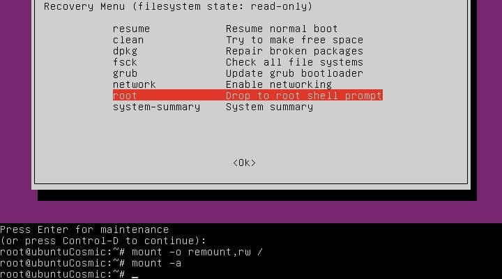 صورة لـ كيفية التمهيد إلى وضع الاسترداد (الوضع الآمن) في Ubuntu | ubuntu-recovery-remount-DzTechs