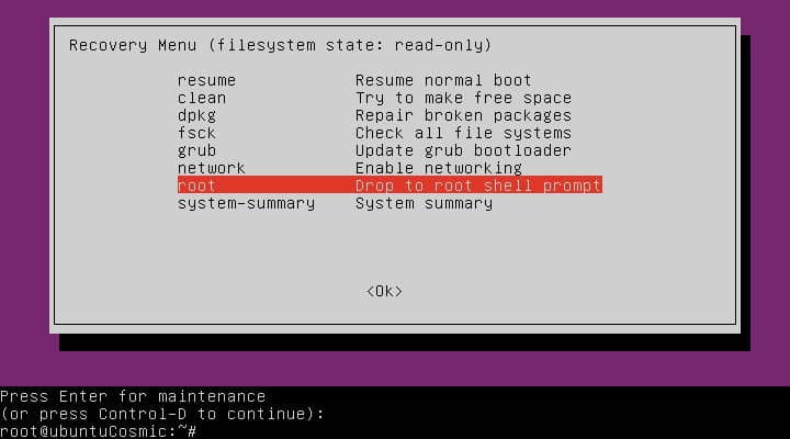 صورة لـ كيفية التمهيد إلى وضع الاسترداد (الوضع الآمن) في Ubuntu | ubuntu-recovery-root-DzTechs