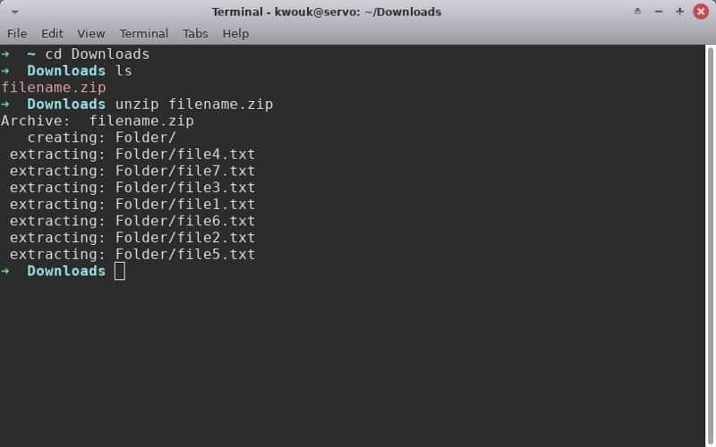 صورة لـ كيفية استخراج الملفات المضغوطة في نظام Linux | unzip-files-linux-command-line-DzTechs