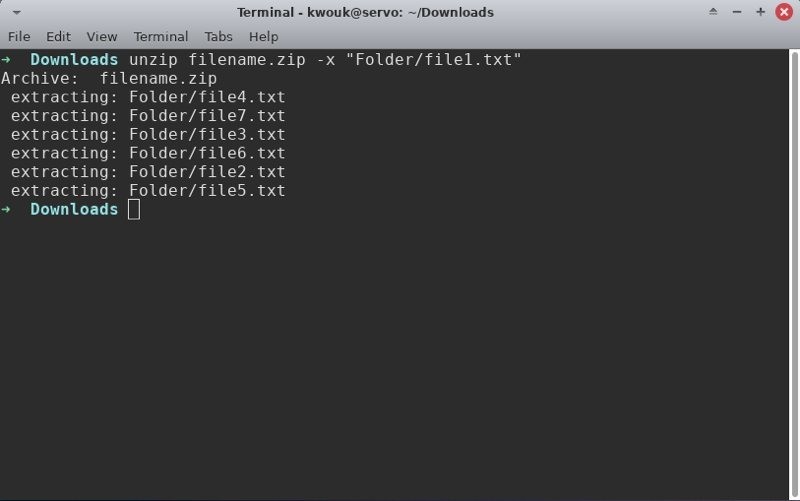 صورة لـ كيفية استخراج الملفات المضغوطة في نظام Linux | unzip-files-linux-exclude-DzTechs