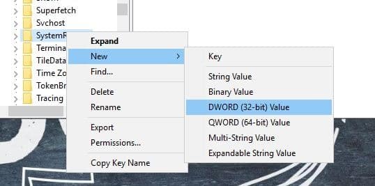 صورة لـ كيفية إنشاء نقطة استعادة النظام تلقائيا في Windows عند بدء التشغيل | Auto-restore-point-windows-select-DWORD.jpg-min-DzTechs