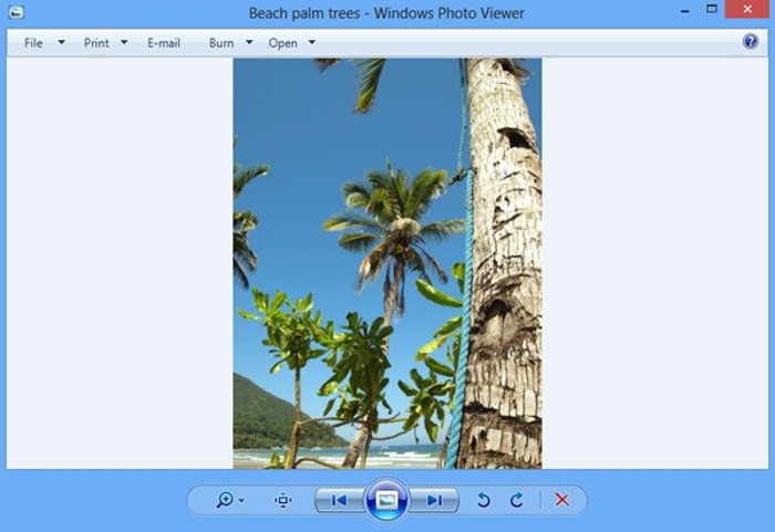 صورة لـ تطبيق Windows Photos لا يعمل في Windows 10؟ هنا بعض الإصلاحات | photos-app-not-working-windows-photo-viewr-min-DzTechs