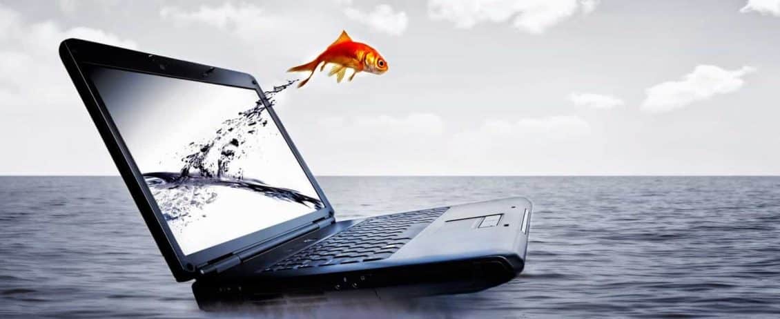 صورة لـ كيف يمكن بسهولة معايرة الألوان والسطوع والتشبع لشاشة العرض في Windows 10 | laptop-min-DzTechs